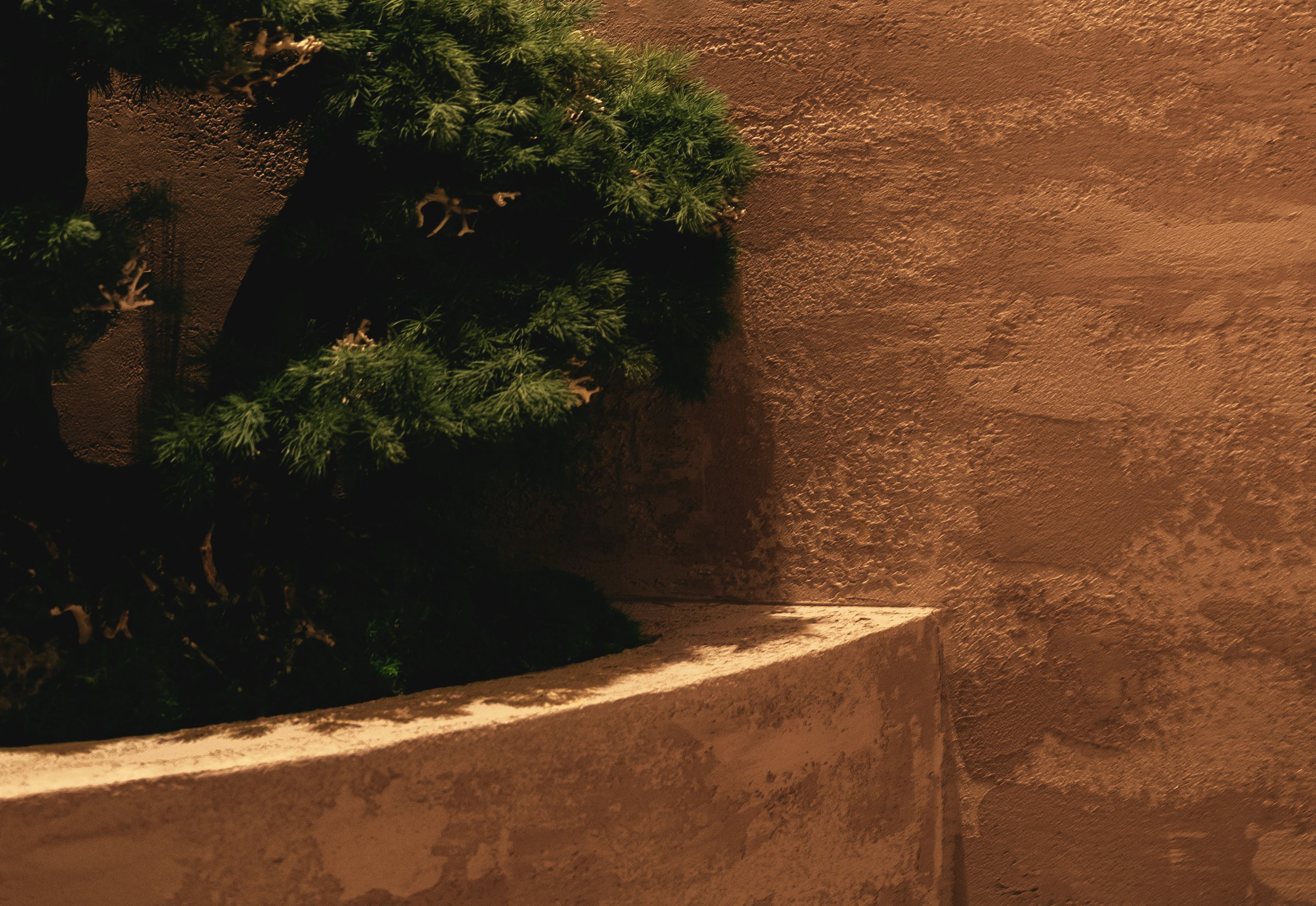 A finished UNO interior — a corner at rest, warm light on lime plaster